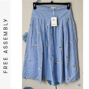 Blue Striped Women's Skirt